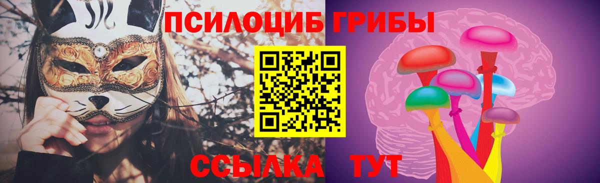 Каменск-Шахтинский  Псилоцибиновые грибы мухоморы  Вход с VPN 